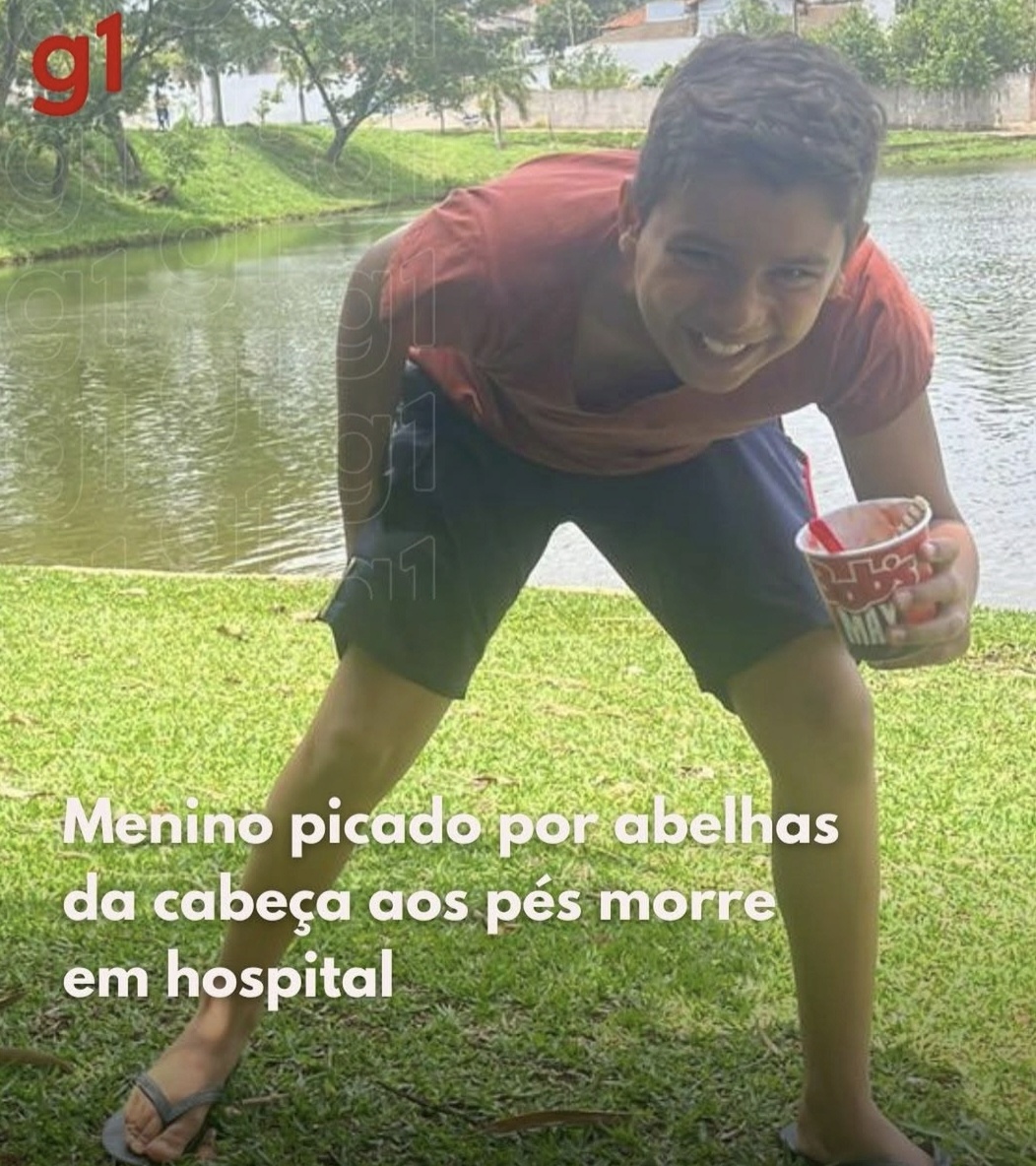 Menino picado por abelhas da cabeça aos pés morre em hospital !