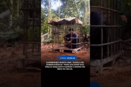 GARIMPEIRO FICA EM “GAIOLA ” PARA ESCAPAR DAS ONÇAS ENQUANTO ESPERA CARONA NO MEIO DA SELVA. GARIMPEIRO FICA EM “GAIOLA ” PARA ESCAPAR DAS ONÇAS ENQUANTO ESPERA CARONA NO MEIO DA SELVA.