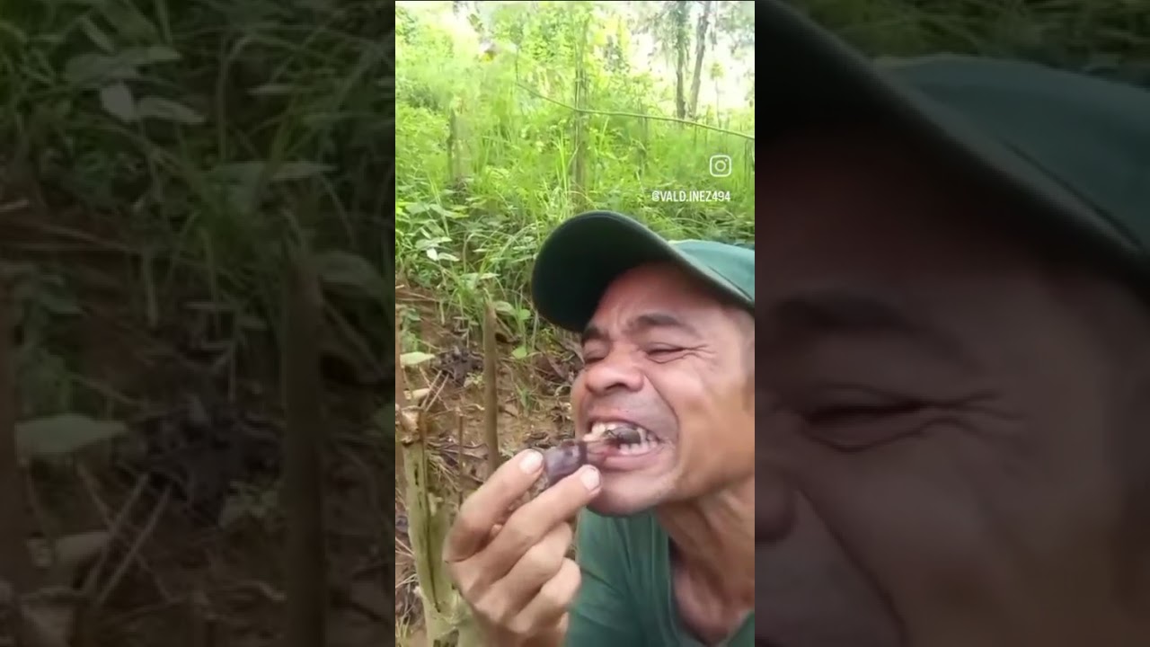 Você teria coragem de comer ? Você teria coragem de comer ?